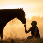 Ilta-auringossa siluettimaisina hahmoina hevonen ja ihminen.