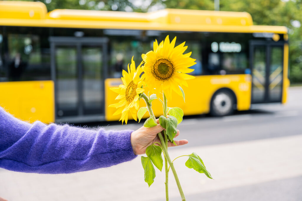 Föli linja-auto ja kädessä auringonkukkia.